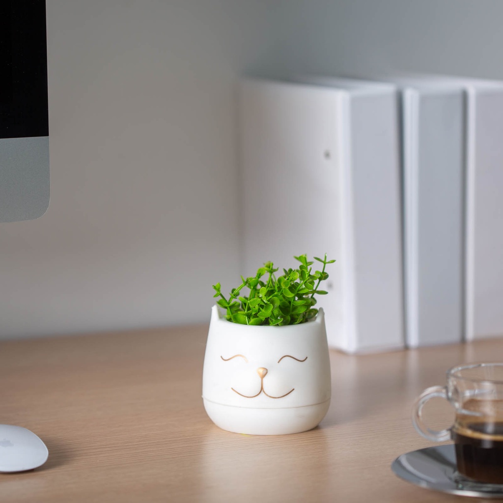 Decor plante artificiale, cap de pisica, 9x14cm