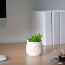 Decor plante artificiale, cap de pisica, 9x14cm