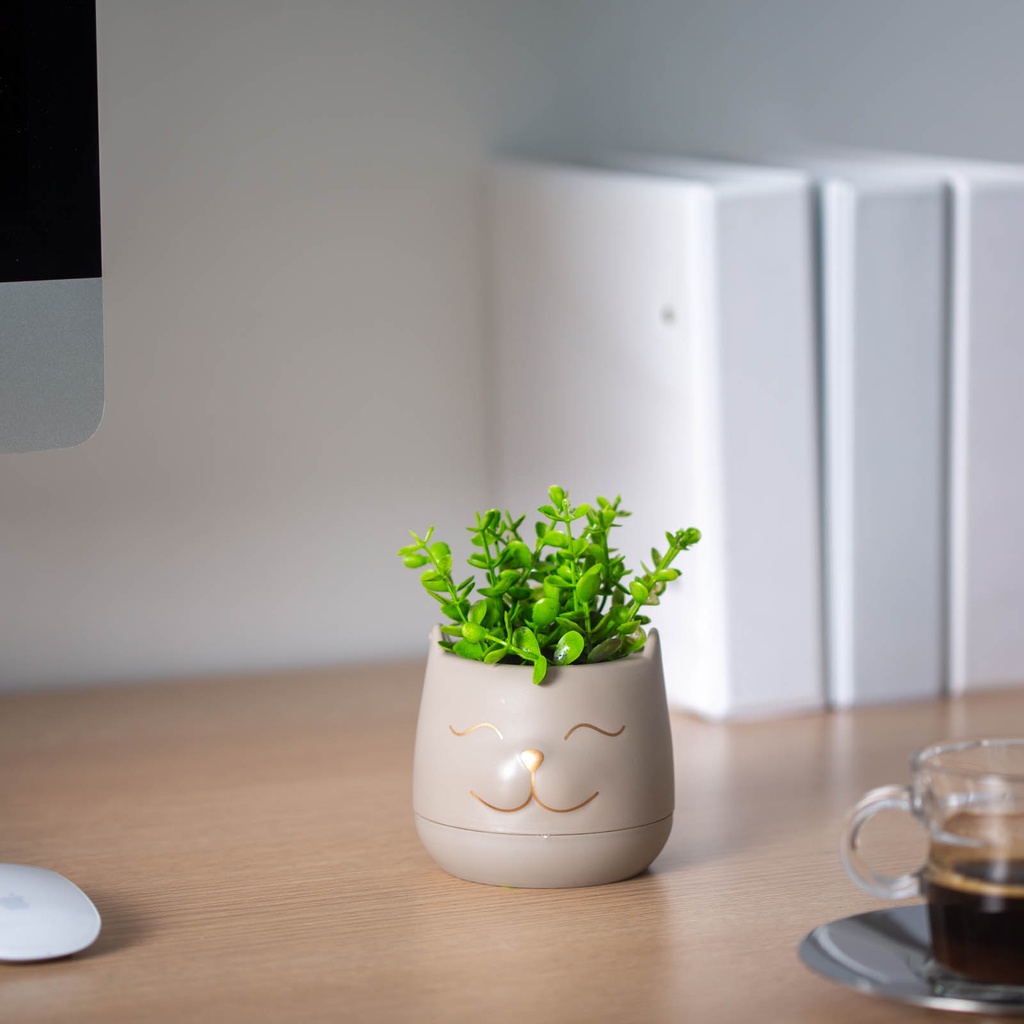 Decor plante artificiale, cap de pisica, 9x14cm