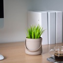 Decor plante artificiale, cos, 11x18cm