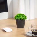 Decor plante artificiale, in ghiveci, 12x13cm