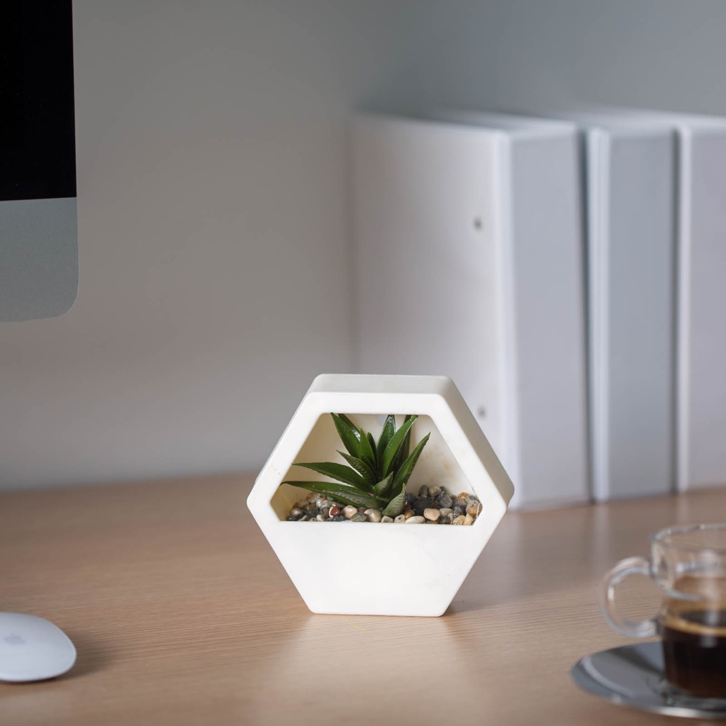 Decor plante artificiale, perete, 13x12cm