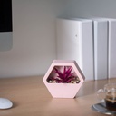 Decor plante artificiale, perete, 13x12cm