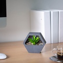 Decor plante artificiale, perete, 13x12cm