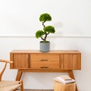 Decoratiune cu planta artificiala, bonsai, 55x27cm