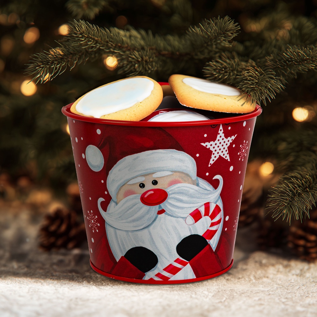 Ghiveci decorativ din metal, model Mos, 13x11cm