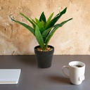 Copac de sofran verde artificial, decor, 20x8.5cm