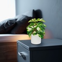 Filodendron verde-galben artificial, 20x8cm