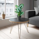 Planta artificiala zebra verde-alb, 34x9cm