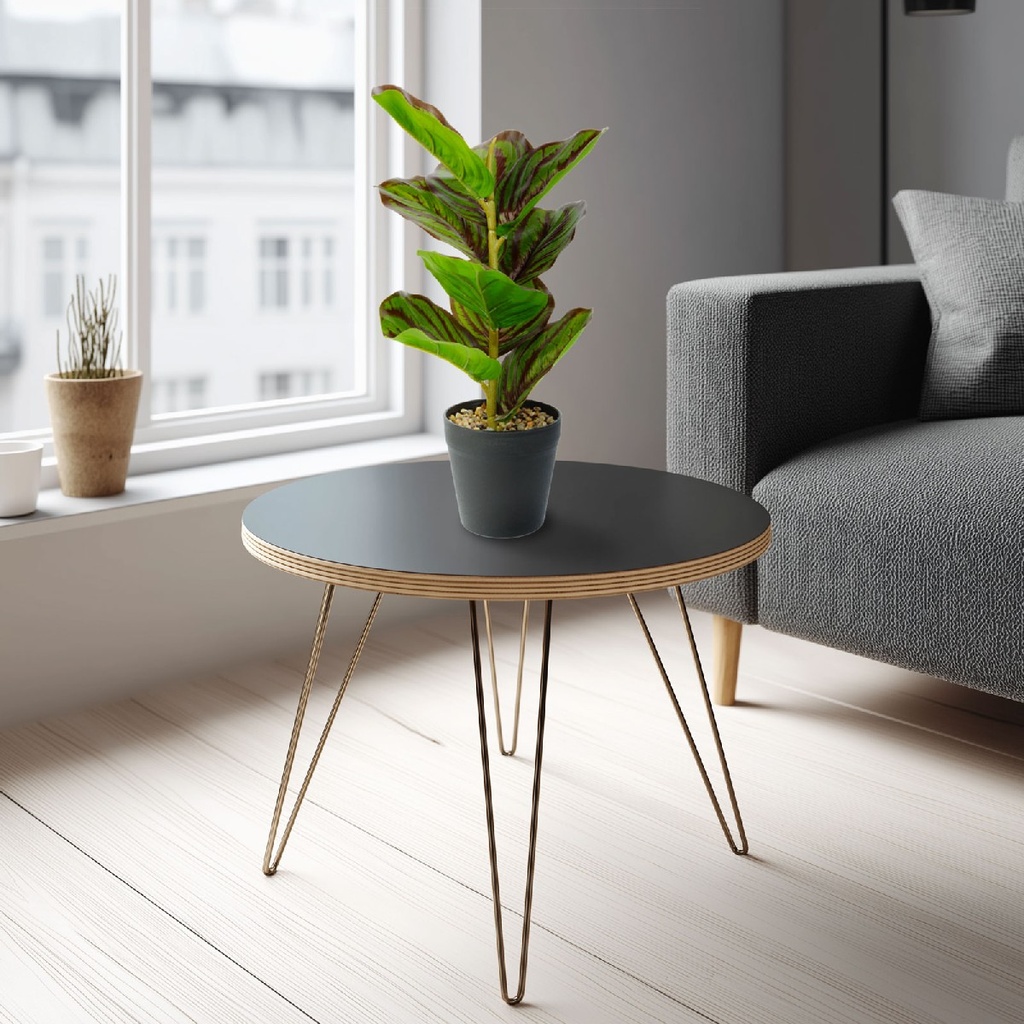 Planta artificiala zebra verde-negru, 34x9cm