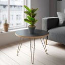 Planta artificiala zebra verde-negru, 34x9cm