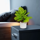 Planta artificiala decorativa, monstera, 22x8.5cm