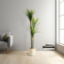 Planta artificiala Dracaena marginata verde, 1.2m