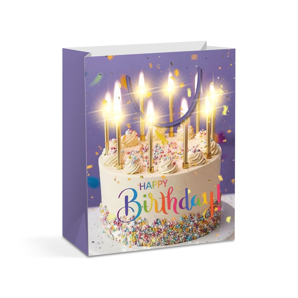 Punga cadou, 10 LED, 265x127x330mm, 4 modele