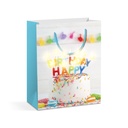 Punga cadou, 10 LED, 265x127x330mm, 4 modele