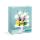 Punga cadou, 10 LED, 265x127x330mm, 4 modele