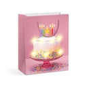 Punga cadou, 10 LED, 265x127x330mm, 4 modele