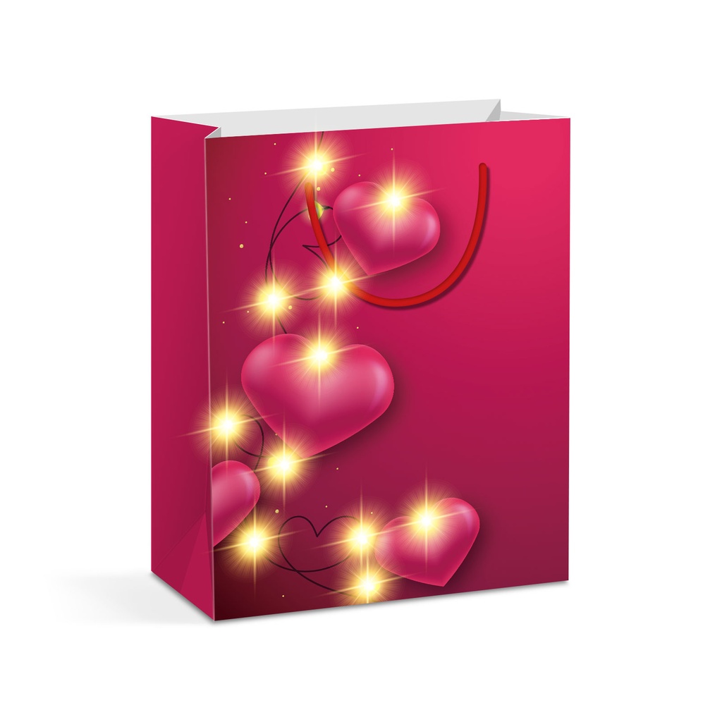 Punga cadou, 10 LED, 265x127x330mm, 4 modele