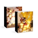 Punga cadou, 10 LED, 265x127x330mm, 2 modele