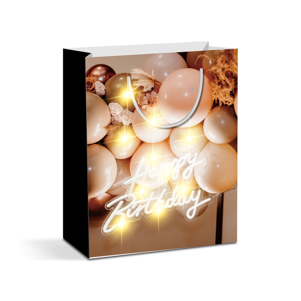 Punga cadou, 10 LED, 265x127x330mm, 2 modele