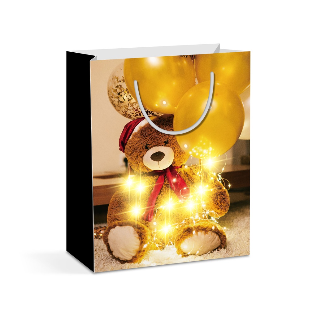 Punga cadou, 10 LED, 265x127x330mm, 2 modele