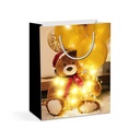 Punga cadou, 10 LED, 265x127x330mm, 2 modele