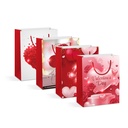 Punga cadou, 5 LED, 178x102x228mm, 4 modele