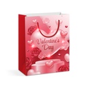 Punga cadou, 5 LED, 178x102x228mm, 4 modele