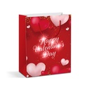 Punga cadou, 5 LED, 178x102x228mm, 4 modele