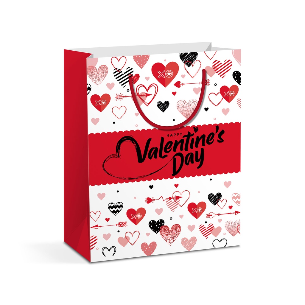 Punga cadou, hartie, 114x64x146mm, set 2 modele