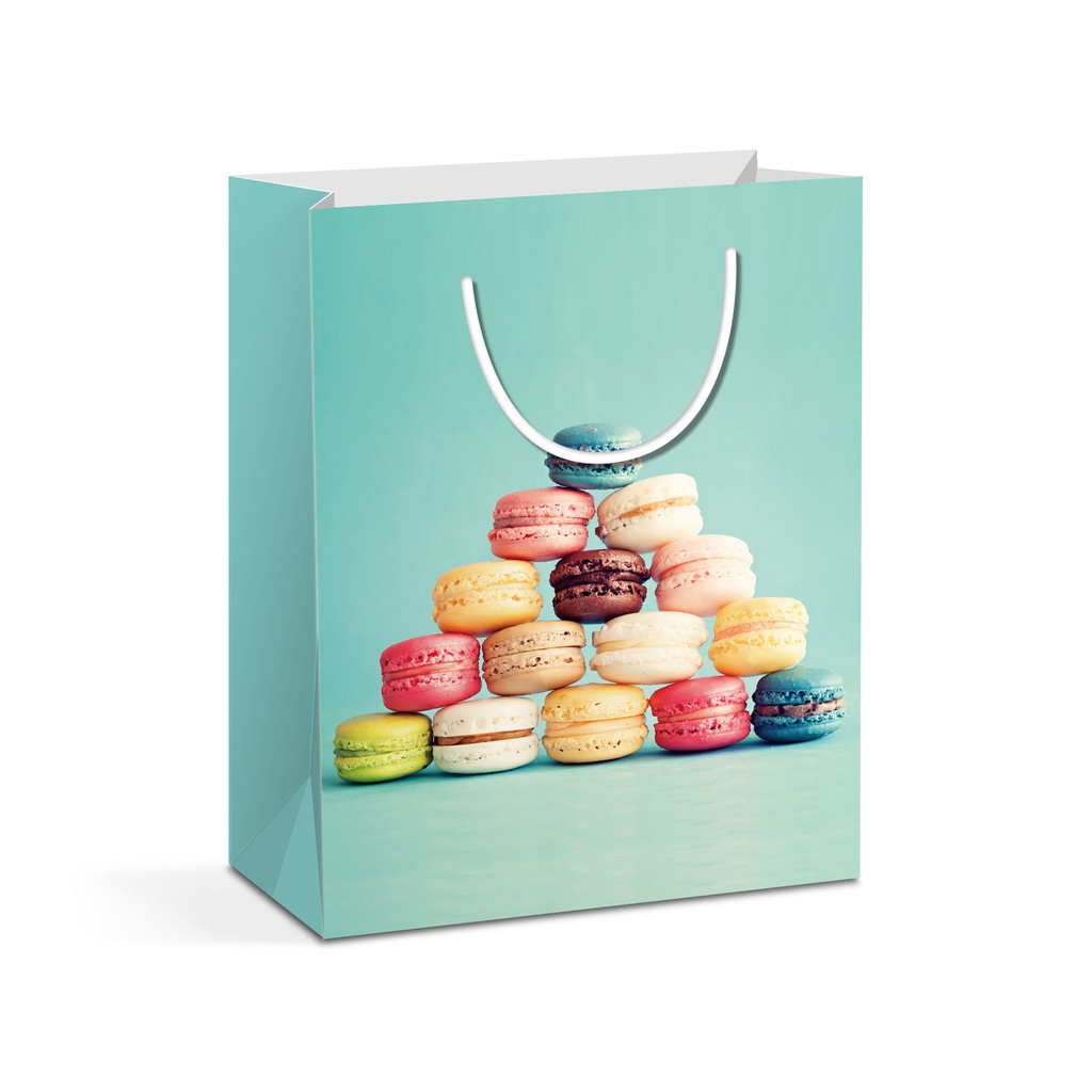 Punga cadou, hartie, 178x102x228mm, 2 modele