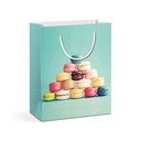 Punga cadou, hartie, 178x102x228mm, 2 modele