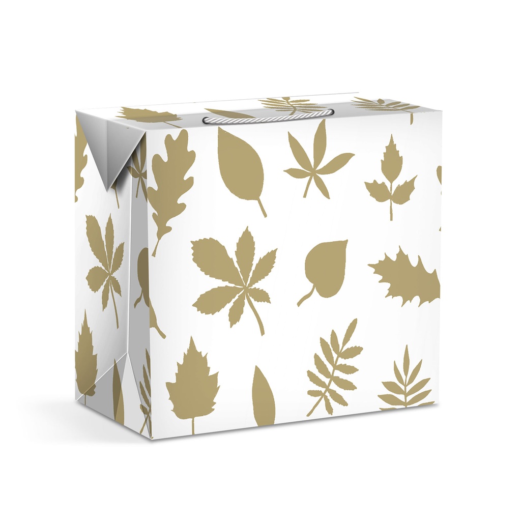 Punga cadou, hartie, 225x135x200mm, 2 modele