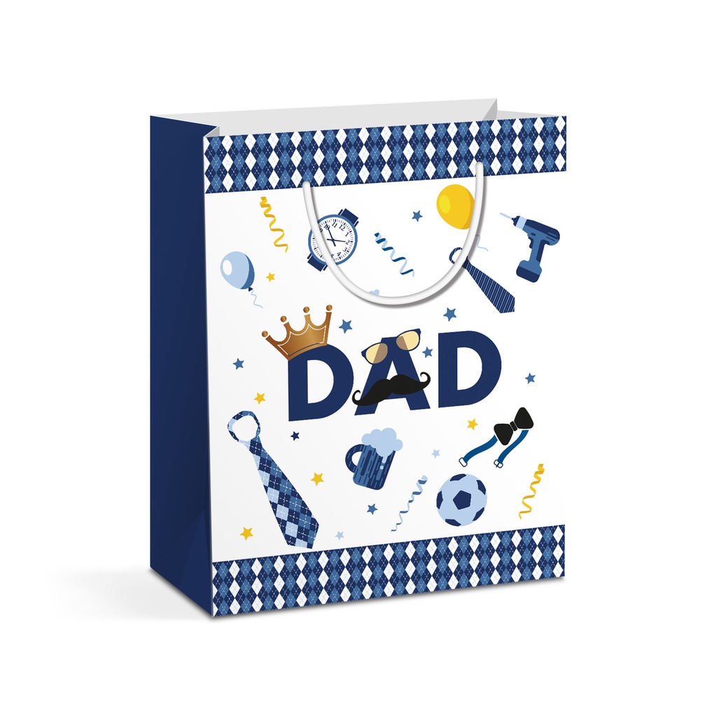 Punga cadou, hartie, 265x127x330mm, 4 modele