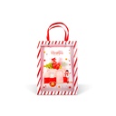 Punga decorativa pt cadouri, plastic,  2 modele, 24x19.5x9.5cm