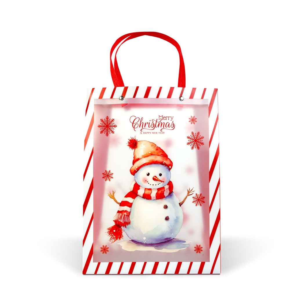 Punga cadouri, plastic, 2 modele, 32x25x11cm