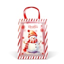 Punga decorativa pt cadouri, plastic,  2 modele, 32x25x11cm