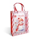 Punga decorativa pt cadouri, plastic,  2 modele, 32x25x11cm