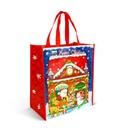 Punga cadou, textil netesut, 2 modele, 35x39x18cm