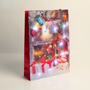 Pungi cadou, LED, 330x102x457mm, set 12 buc.