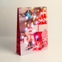 Pungi cadou, LED, 330x102x457mm, set 12 buc.