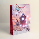 Pungi cadou, LED, 330x102x457mm, set 12 buc.