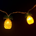 Sir de lumini, ananas, 10 LED, alb cald, 1.65m