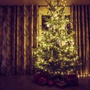 Sir luminos, 50 LED, alb cald, 8 programe, 5m