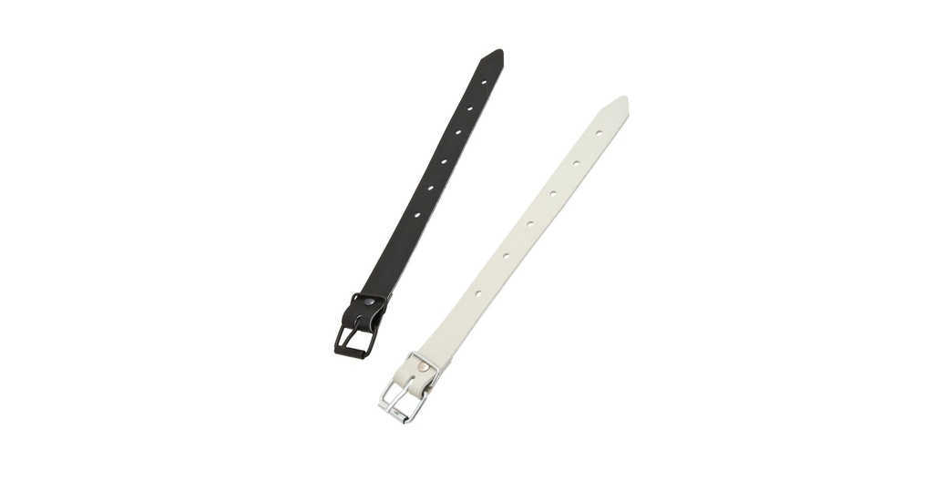 Curea Curelusa prelata_2.jpg