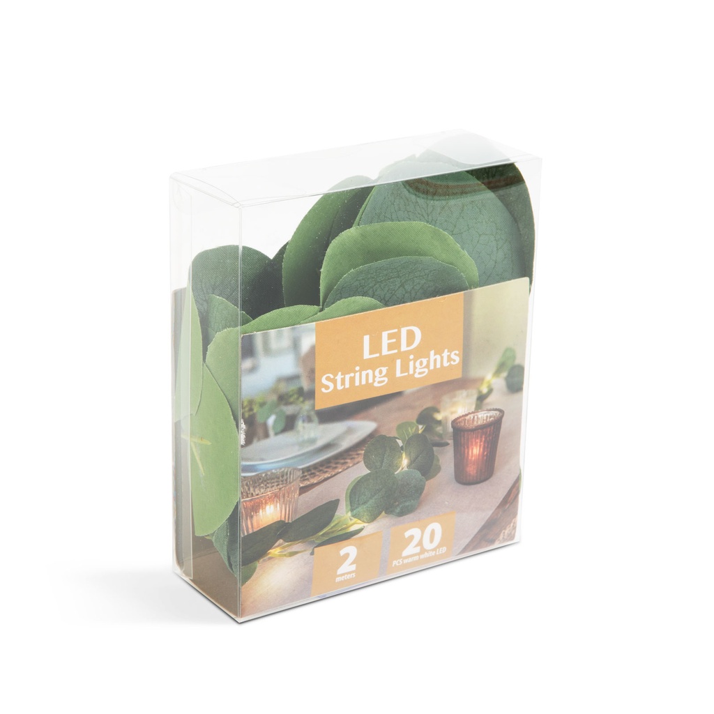 Decor Craciun, 20 LED, alb cald, 2m