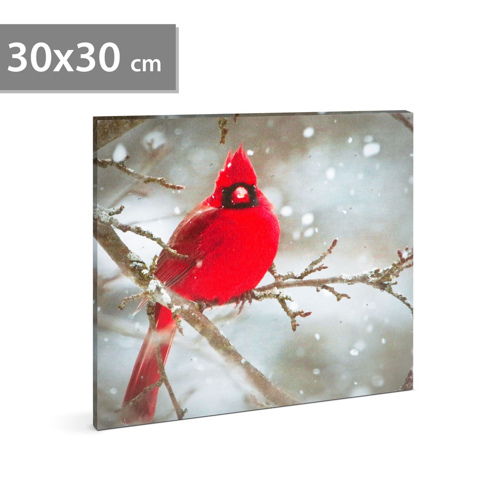 [58478] Tablou cu LED, cinteza rosie, 2xAA, 30x30cm