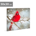 Tablou cu LED, cinteza rosie, 2xAA, 30x30cm