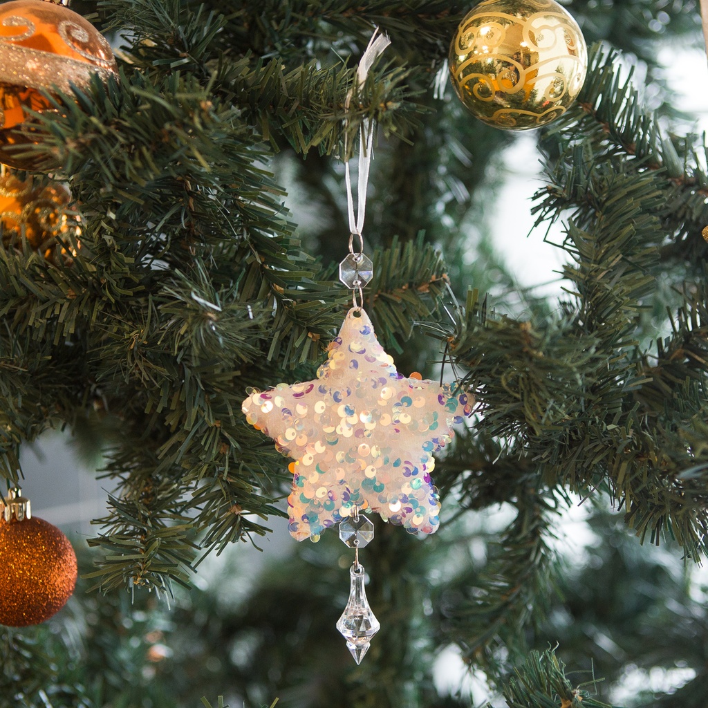 Ornament brad Craciun, stea si fulg, 2 forme