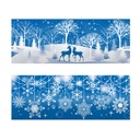 Decoratiuni pt geam, transparente, 2 modele